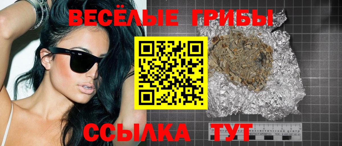 Галлюциногенные грибы GOLDEN TEACHER Котлас